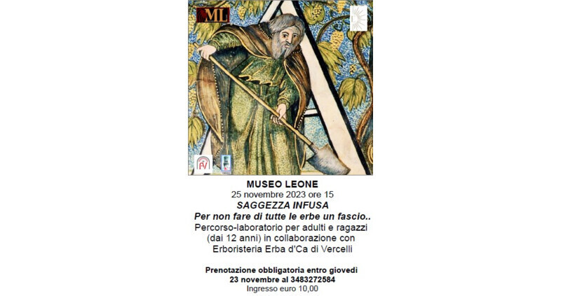 SAGGEZZA INFUSA. Per non fare di tutte le erbe un fascio...