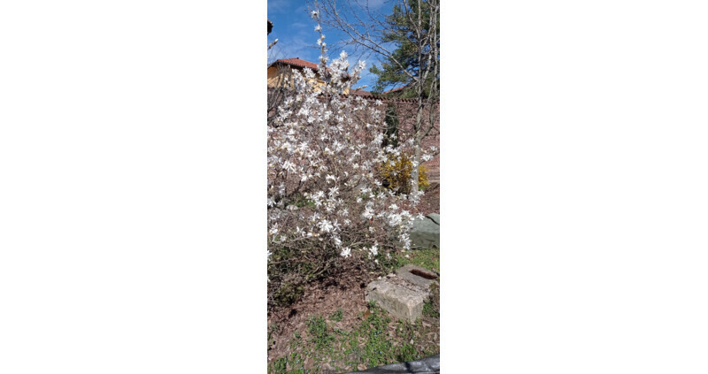 APRILE al Museo Leone